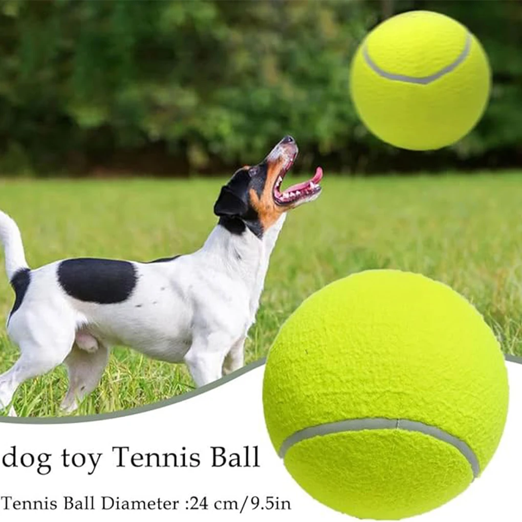 Тенис топката за домашни любимци, които са задължителни за всеки собственик на куче, който осигурява безкрайно забавление съотношението цена и качество